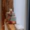 Watzmann-Appartement