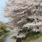桜並木と航空公園の近くにある閑静なお部屋 最大5名 t10 - Tokorozawa