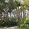 Driftwood on Home Beach - Absolute Beachfront