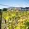 Margrain Vineyard Villas - Martinborough