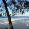 Driftwood on Home Beach - Absolute Beachfront - Пойнт-Лукаут