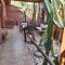 Hostal Cactus Copiapo