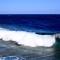 Beach safari nubian resort - 马萨阿拉姆