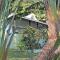 Amuse Bush Villa