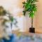 The Annick Suite No2 - Donnini Apartments - 欧文