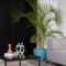 Elevens by Spacey - 1BR in Maadi - القاهرة