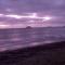 Beach Cabin - 4 mins walk to Ardnahinch Beach, 10 min walk to Garryvoe Hotel & 5 min drive to Ballymaloe House - Eircode P25KN53 - Shanagarry