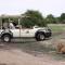 Cresta Mowana Safari Resort & Spa - Kasane