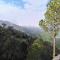 Pihu's Nest Kasauli - Kasauli