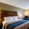 Comfort Inn Randolph-Boston