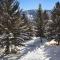 Buck Creek C-201