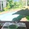 Bungalow charmant à Vincendo avec piscine partagée - Saint-Joseph