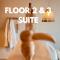 BONK suites