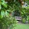 Jacaranda Cottage 5 min by Train or 7 min drive to Parramatta City