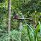 Gallene Gala Nature Resort
