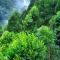 Ever Green Mount