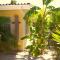 Villa Dushi Arembos, 6 persons, private pool, comfortable car, tropical garden
