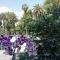 Botanic Charm