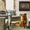Homewood Suites by Hilton Providence-Warwick