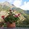 Appartements Romantica