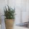 Anemi Blue apt, suitable up to 4, near the beach! - 罗希姆诺