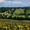 Holiday home Bois de la Borde with private pool - Cancon