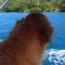 Hostal Portobelo - 波托韦洛