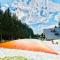 Apartmán Resident A001 - Harrachov