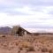 Desert Quiver Camp