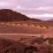 Desert Quiver Camp