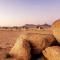 Desert Quiver Camp