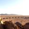 Desert Quiver Camp