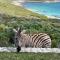 Zebra Views - Romansbaai Luxury Retreat - Goudiniweg
