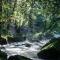 Le Chant des Sources, Gîtes et Chambres d'hôtes avec Vue sur la Vallée des Cascades - Gimel