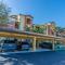 Live in Paradise with Golf Tennis Gym Pools and More - Bonita Springs