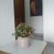 Hermoso y cómodo apartamento en Leticia