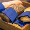 Holiday Inn Express - Luzern - Kriens by IHG