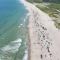Walk to Nauset Beach Updated and Cozy - أورليانز