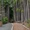 Snow Falling On Cedars by Seabrook Hospitality - باسيفيك بيتش