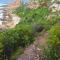 Sea Views, Hikes & Tranquility Wildside Cabin - بليتنبيرغ باي