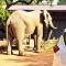 Ngalali Retreat