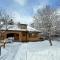 O1 Slopeside Bretton Woods cottage with AC large patio and private yard Walk to slopes