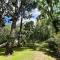 Casa en el bosque de Costa del Este