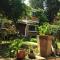 Cabin in the forest of CDMX - 墨西哥城
