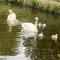 Holiday Cabin Sleeps 5 Glan Gwna Holiday Park