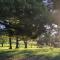 Room in Studio - Serene Studio Retreat in Cygnet with Private Entrance - Cygnet