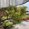 Room in Studio - Serene Studio Retreat in Cygnet with Private Entrance - Cygnet