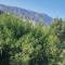 Nook seaview - Dahab