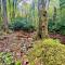 Hidden Creek Cabin at MontEagle - 班纳埃尔克