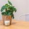 Feel Welcome Barcelona Smart flat
